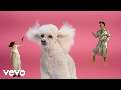 Das Moped - Niemand Sonst (Official Video)