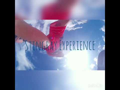 Great stirrup Cay Stingray experience