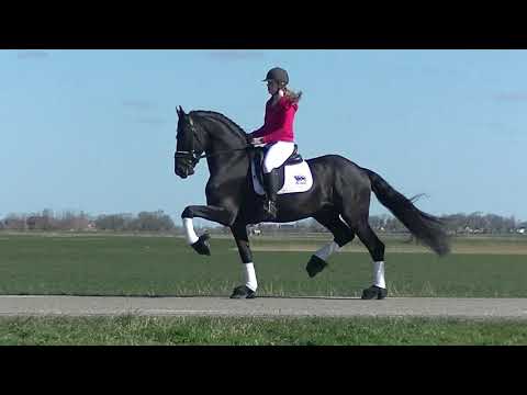 Stal Okkema's Tsjibbe