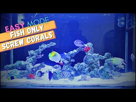 Is a FISH ONLY Saltwater Aquarium right for YOU!