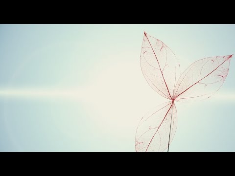 In my silence - (Official video made by Edda Magnason) - annasara