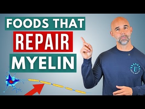 5 Questions About Myelin Repair—Answered with Science-Backed Foods | Dr. Ole Olson, Asuta Health
