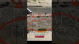 Cruise Line CEO's Get Blindsided