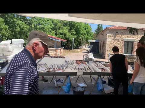 Sirtaki time, D1, Europe, Greece, Macedonia, Halkidiki, Kassandra, farmers market day at Kassandreia