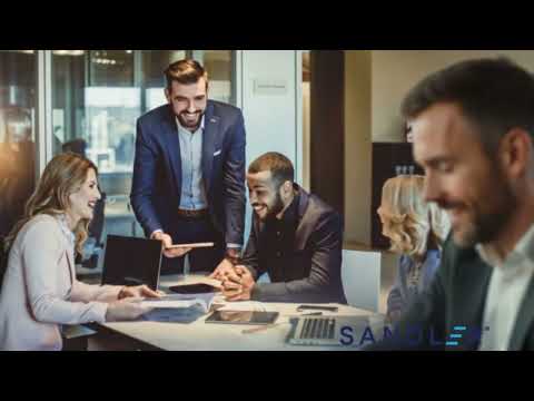 Master Sales Performance & Leadership Excellence | Tridenza Sandler Training Programs