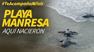 Bahía de las Águilas, paraíso de tortugas marinas