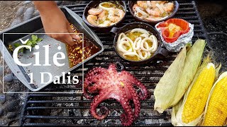 Kelionė į Čilę, 1 Dalis. Ugnikalnių, upių ir skaniausio seafoodo kraštas