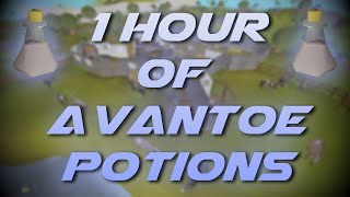 Making Avantoe Potions | Testing OSRS Wiki Money Making Methods