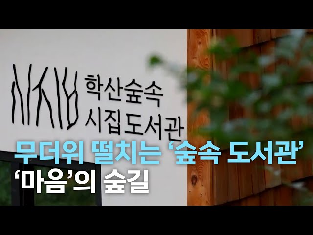 무더위 떨치는 '숲속 도서관'..'마음'의 숲길