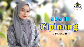 Download lagu CIPINANG (Darso) - NANIH (Cover Pop Sunda) mp3 Download lagu CIPINANG (Darso) - NANIH (Cover Pop Sunda) mp3