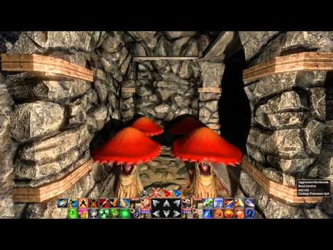 The Fall Of The Dungeon Guardians - Part 17 - Elven Witch