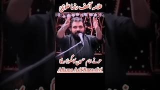 Hazrat Hur ne imam Hussain as ka ghora ! allama Asif Raza alvi | #shorts #majlis #foryou #trending