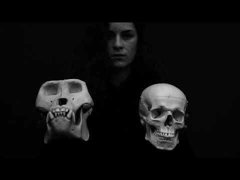 Komplizen der Spielregeln and Barhill Records