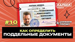 Поддельные документы: как отличить оригинал от фейка.