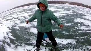 Клев рыбы на завтра в туле