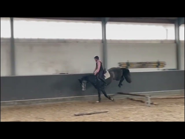 ridden video Star Fire