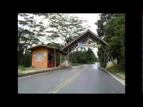 Grupo dominnio Mosaico Ingrata