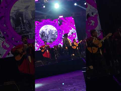 #chaqueñopalavecino #Carrileñazo2025 En escenario