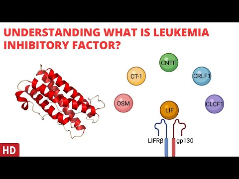 Malignant Peripheral Nerve Sheath Tumor Causes Signs and Symptoms Diagnosis and Treatment
