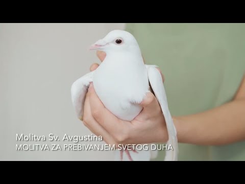 Molitva za prebivanjem Svetog Duha - Molitva Sv. Avgustina