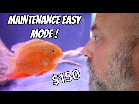 Easiest Water Changes EVER! Maintain Your Aquarium Without Touching The Water!