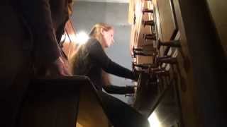 preview picture of video 'J. S. Bach - Passacaglia and Fugue in C minor, BWV 582 - Maria Vekilova'