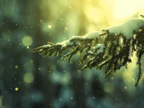 Yvel & Tristan - Therapy