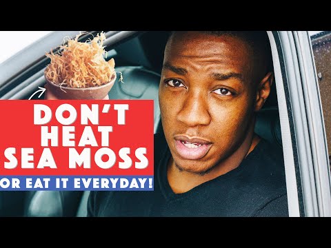 download lagu mp3 mp4 How Much Dulse Should I Eat Per Day, download lagu How Much Dulse Should I Eat Per Day gratis, unduh video klip How Much Dulse Should I Eat Per Day