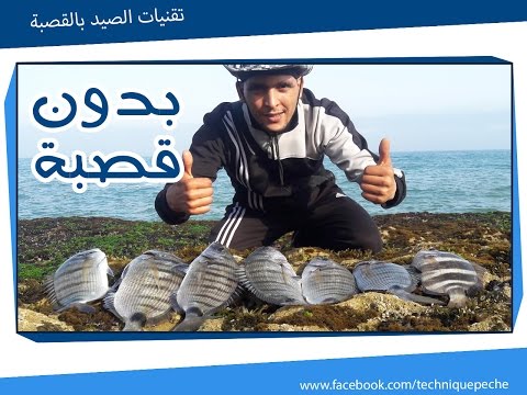 ✔ طريقة صيد السمك مباشرة  بدون قصبة و مكينة الطعم عجينة البيلوطة