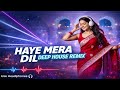 World Bass HAYE MERA DIL ️‍ Deep House Mix Ro Ro Ke Arja Gujarda Hai Dil Hindi Edm Music