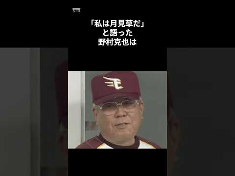 わたしは月見草だと語った男　#shorts #野球 #野球雑学 #雑学 #プロ野球 #メジャーリーグ #野村克也