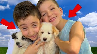 Farm Friends and Puppy Cuddles! 🐶 Oliver and Lucas Visit a Mountain Farm for Animals 🐮