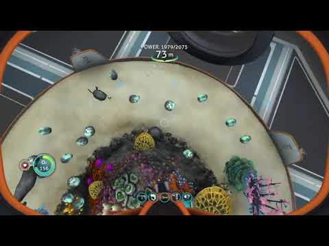 Never keep 2 mesmer eggs together