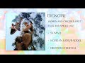 Dickgirl - WOMEN AND CHILDREN FIRST, FAGS AND SPICKS LAST (Full EP)