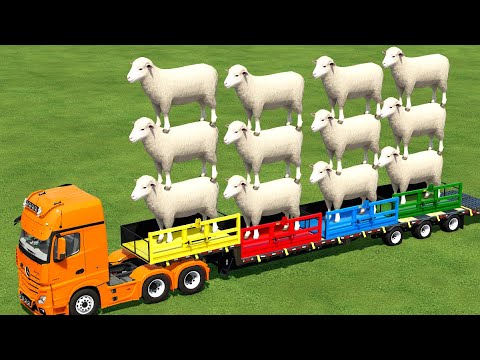 TRANSPORT OF COLORS ! TRIPLE GIANT SHEEPS TRANSPORTING to BARN w/ TRACTORS ! Farming Simulator 22