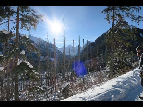 Brzeziny - Murowaniec - Czarny Staw Gąsiennicowy zimą