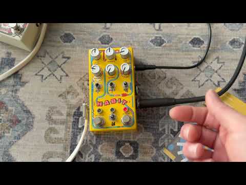 Simplifying the Chase Bliss Habit?? Plus One Neat Trick, ft. Walrus Julianna #delay #echo #howto