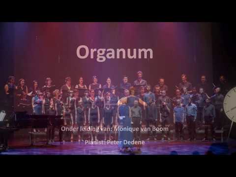 Morning has broken - Cat Stevens