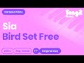 Sia - Bird Set Free (Lower Key) Piano Karaoke