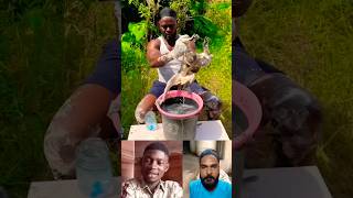 Download lagu Another Day For Bathing π Monkey Says NO! #shorts #monkey mp3 Download lagu Another Day For Bathing π Monkey Says NO! #shorts #monkey mp3