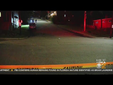 Woman In Critical Condition After Being Stabbed