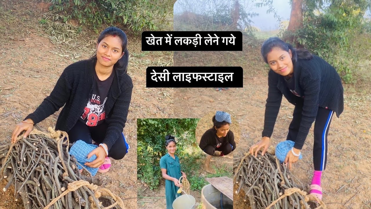 खेत में लकड़ी लेने गये ||khet me lakdi lene gaye||manishasahu||villagelife||