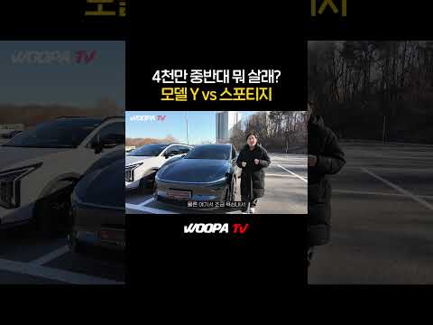 4천만원이면 모델Y vs 스포티지 하브풀옵