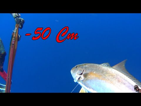 Pescasub e la Ricciola a -50 Cm 😱😱Spearfishing Sardinia #pescasubacquea