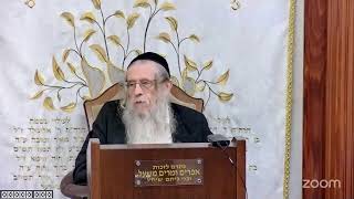 הרה"ג הרב וועכטר שליט"א י"א תשרי תשפ"ה - מאמר הרבי ד"ה בורא ניב שפתים חלק א (הרב אברהם מנחם מענדל וכטר) - התמונה מוצגת ישירות מתוך אתר האינטרנט יוטיוב. זכויות היוצרים בתמונה שייכות ליוצרה. קישור קרדיט למקור התוכן נמצא בתוך דף הסרטון