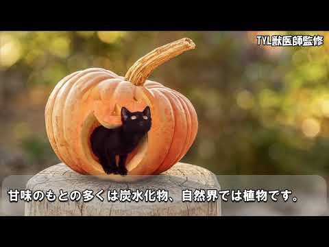 なぜ猫は甘いものを味わえないのでしょうか?