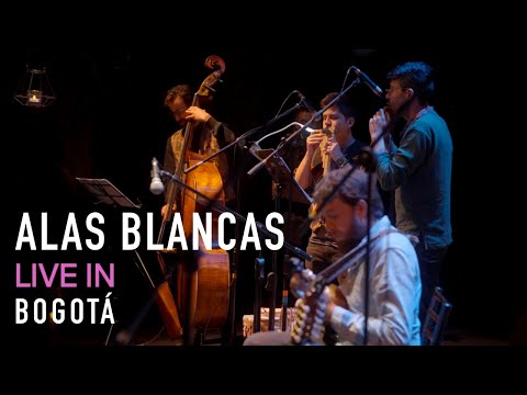 Alas Blancas (Live in Bogotá)- Daniel Amaya Charango