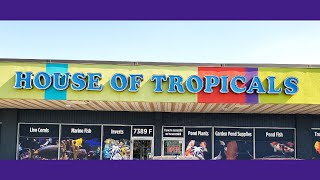 A Look Around The House Of Tropicals In Glen Burnie MD.