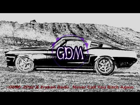 •GDM• 2Pac & Erykah Badu Never Call You Bitch Again