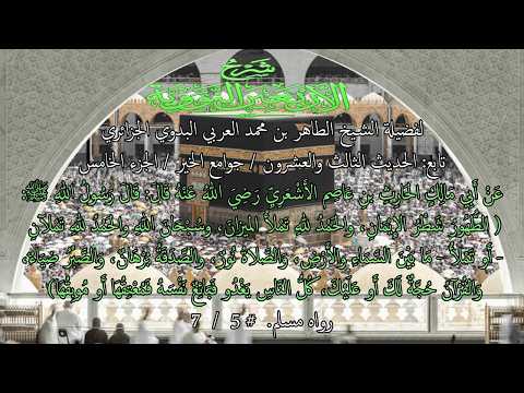 تابع: شرح الأربعين النووية / الحديث الثالث والعشرون / جوامع الخير # 5 / 7